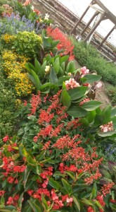 67580538_2288445811419530_5979429469213949952_n