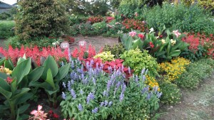 67615671_435792423816798_7158623486338924544_n