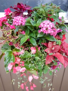 67649259_332177811026380_8020177394587402240_n