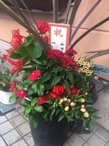 67677136_584272182105240_6736890889378988032_n