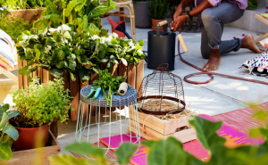 67873851_3514766811882979_7198119034930331648_n