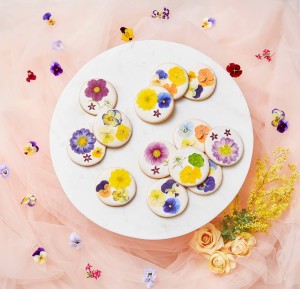 51861188_2545685162327614_9188322926170996736_n