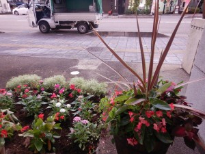 67378561_2421695828112371_8000208983526735872_n