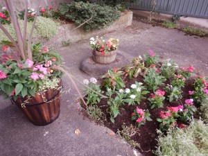 67412111_3208493315890353_2947134643582795776_n