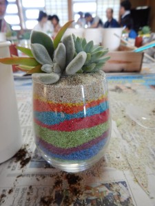 67486931_2358561040888615_5625009841689853952_n