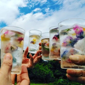 67510185_2346538585424194_4137959625418866688_n