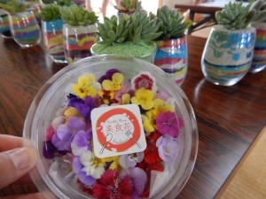 67554092_2358561767555209_1008632632348508160_n