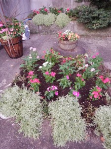 67590817_2333829200057726_7285211634434310144_n