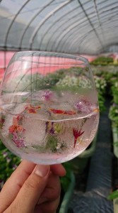 67605993_448613382361492_3014047970606710784_n