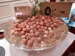 67646729_2365167746894611_2201286179330981888_n