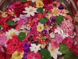 67690077_2365166903561362_4190498109219930112_n