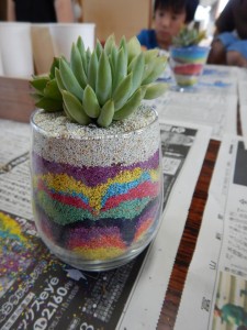 67718151_2358561117555274_1704264536543985664_n