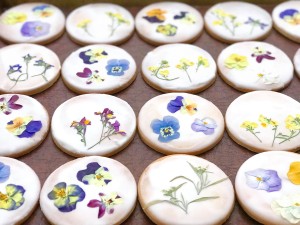 67734315_2555978977766355_483689630508515328_n