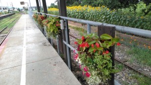 67770805_401959753772455_5942608637275930624_n