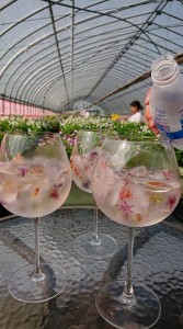 67783316_393426231525572_2908180548633493504_n