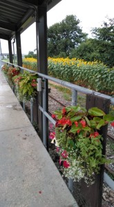 67791510_371249316895118_6143675624272691200_n