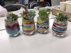 67792340_2256405571356178_6951500732893757440_n