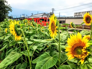 67797850_1182018255304535_4557881979562885120_o