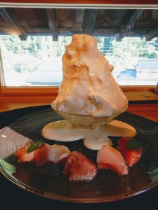 67809001_2371272412950811_5714001834645913600_n