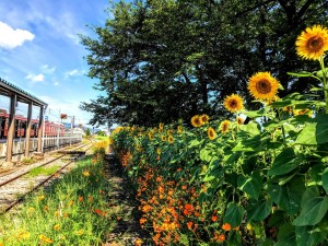 67885454_1184827311690296_5258283208717369344_n