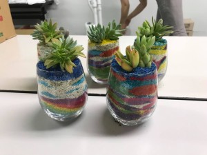 67914366_884360678609285_7909489997105856512_n