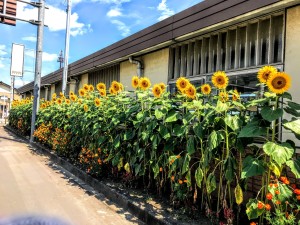 67929645_1184827295023631_5698779452641640448_o