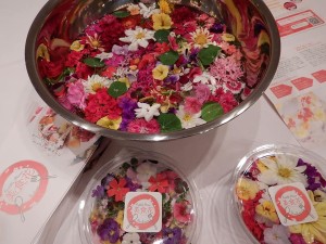 68241209_2365166840228035_4725366917919932416_n