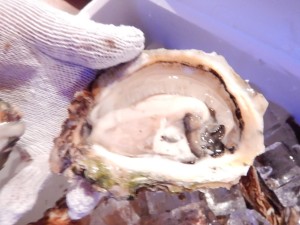 68477404_2388482697896449_2551870821966544896_o