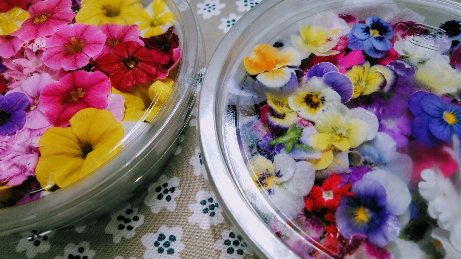 毎日素敵な出会い☆