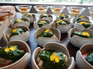 68579911_2365167356894650_2665411280323477504_n