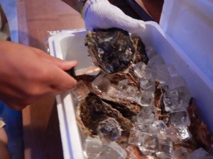 68693258_2388482754563110_4820862148492132352_o