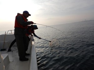 68827206_2396135070464545_5069197209086459904_n