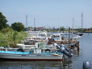 68842626_2396136920464360_7755610617494372352_n