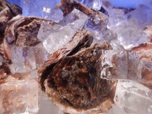 69223989_2388482747896444_1369434233382109184_o