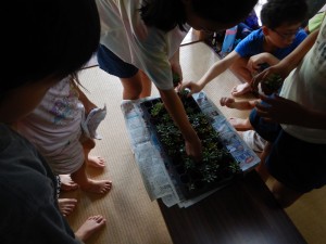 69245950_391485821508841_1717086280937897984_n