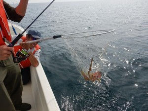 69299178_2396136223797763_8820557795876143104_n