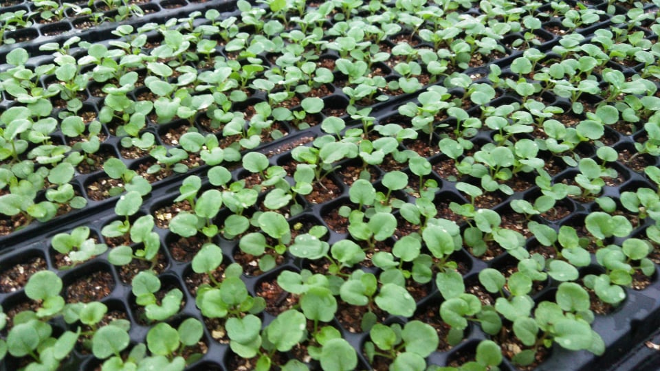 着々と秋の準備