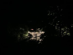 69342878_10214355365463614_7153778466876293120_n