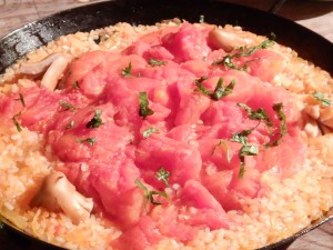 69489593_373983546827764_6392414016655851520_n