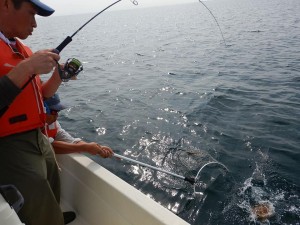 69511775_2396136157131103_6181091416555388928_n