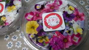 69338774_718086578617943_2464789178924138496_n