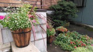 69359630_634273753761651_2828028779488608256_n