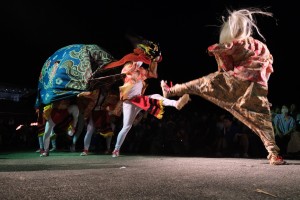 69367117_2390736451012023_1534987840910262272_o