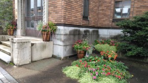 69545268_498899467333310_5818712523142070272_n