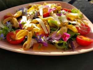 69559683_519063628867355_4666936640931889152_o