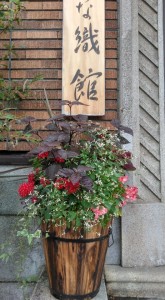 69686810_495710860994771_1022464827928346624_n