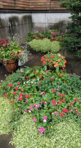 69844809_2031605480205004_1751310354173919232_n