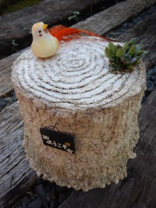 69866698_869129030189552_6856372292528635904_n