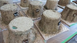 69890282_2422546134490105_7346291459567386624_n