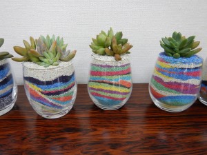 70242776_2969027889838256_4977824953844891648_n